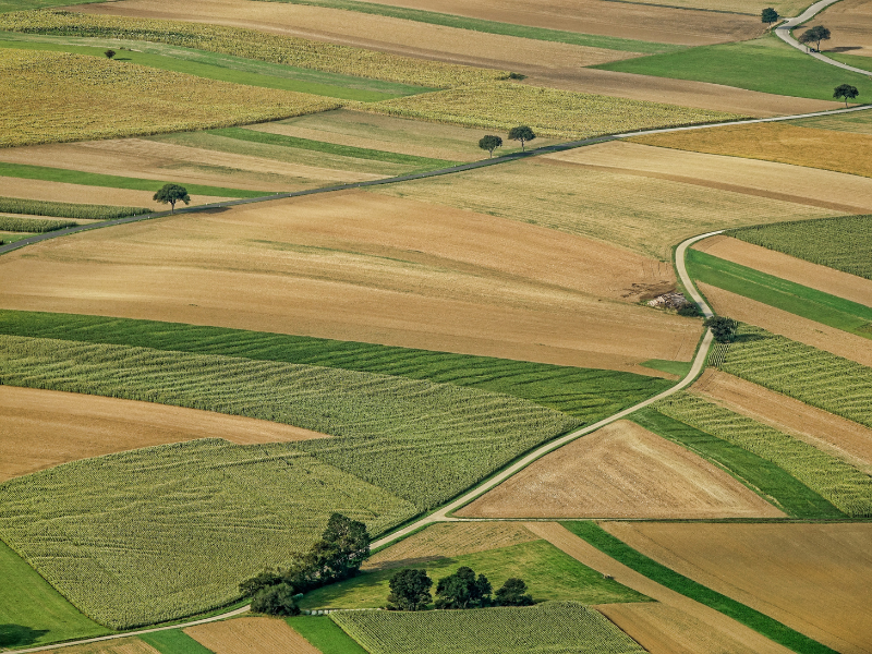 grünes und braunes Feld, um die Selective Data Trasition als hybriden Ansatz der Migration auf SAP S/4HANA darzustellen.